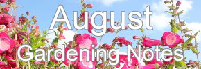 Latest Gardening notes