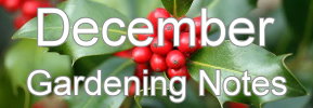 Latest Gardening notes