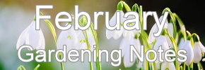 Latest Gardening notes