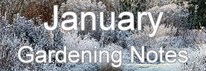 Latest Gardening notes