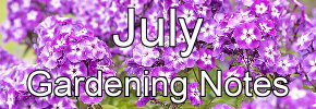 Latest Gardening notes