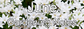 Latest Gardening notes