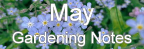 Latest Gardening notes