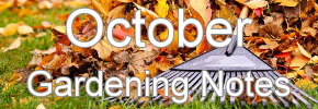 Latest Gardening notes