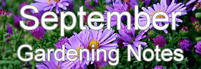 Latest Gardening notes