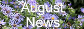 Latest News Update