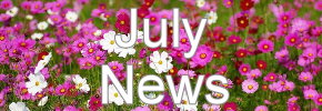 Latest News Update