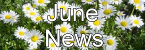 Latest News Update