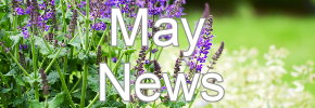 Latest News Update
