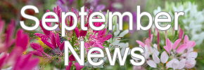 Latest News Update